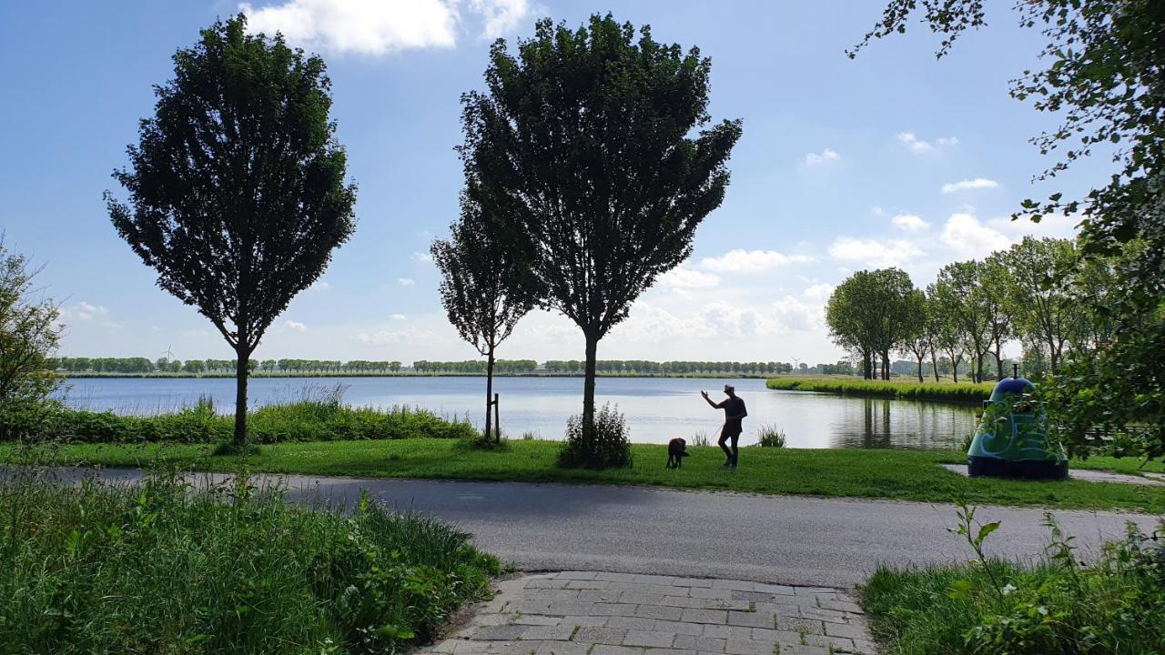Luxe Vakantiebungalow Met Omheinde Tuin Voor Hond En Kinderen Dirkshorn Eksteriør billede