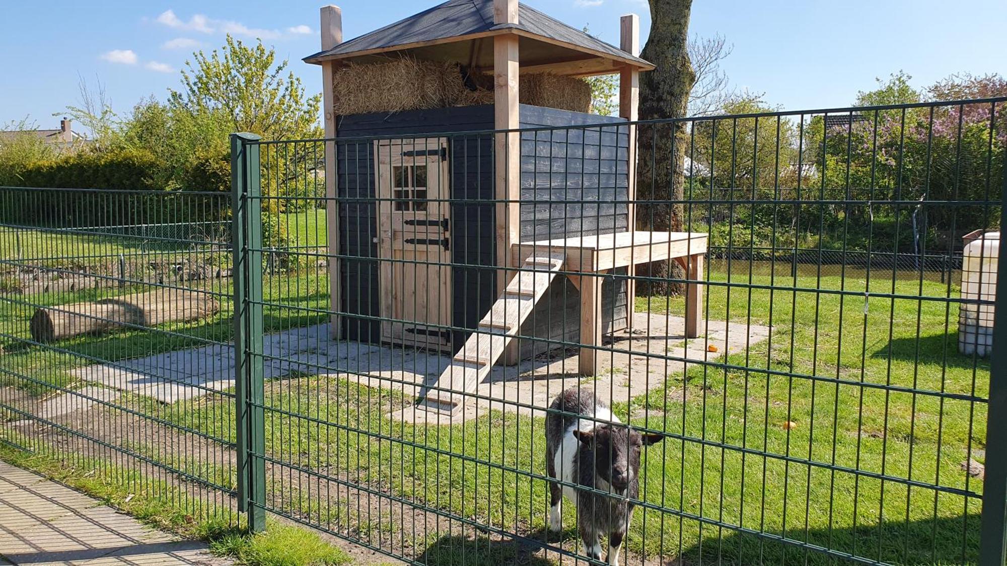 Luxe Vakantiebungalow Met Omheinde Tuin Voor Hond En Kinderen Dirkshorn Eksteriør billede